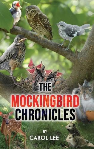 The Mockingbird Chronicles: The Early Days of a Wildlife Rehabilitation Center