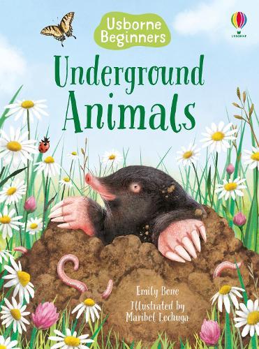Underground Animals (Usborne Beginners)
