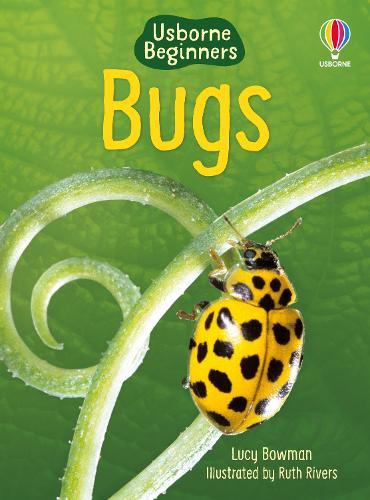 Bugs (Usborne Beginners)