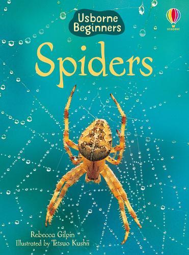 Spiders (Usborne Beginners)