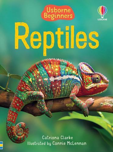 Reptiles (Usborne Beginners)
