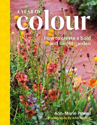 A Year of Colour: How to create a bold and bright garden