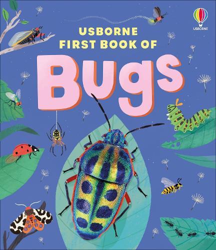 The Usborne First Book of Bugs