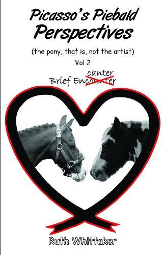 Picasso’s Piebald Perspectives: Vol 2. Brief Encanter