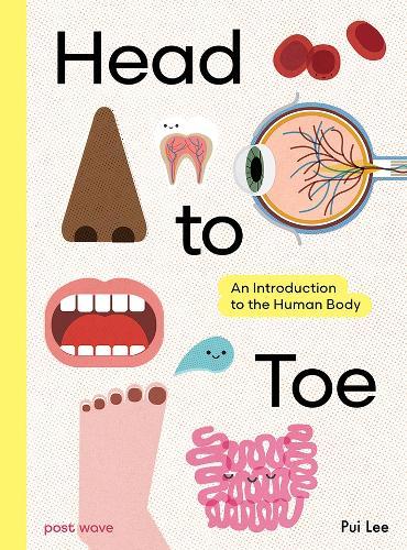 Head to Toe: An Introduction to the Human Body