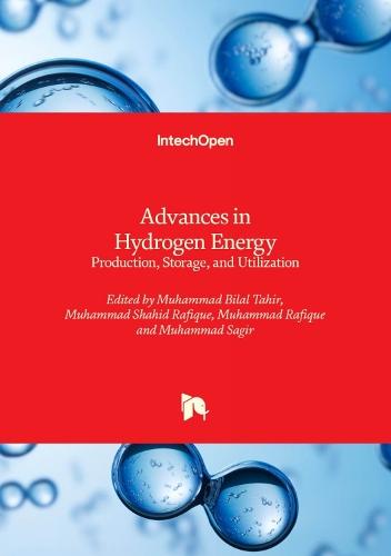 Advances in Hydrogen Energy: Production, Storage, and Utilization