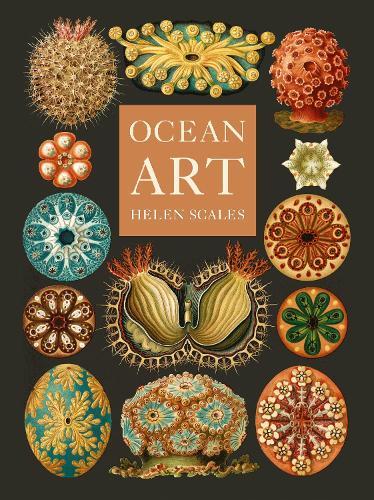 Ocean Art: From the Shore to the Deep
