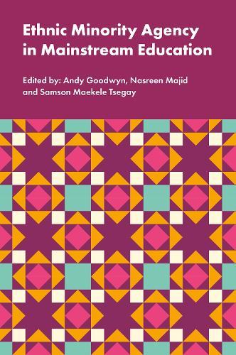 Ethnic Minority Agency in Mainstream Education: A Regional Perspective on a National Challenge