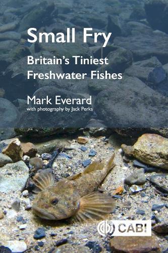 Small Fry: Britain's Tiniest Freshwater Fishes
