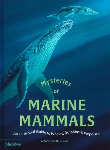 Mysteries of Marine Mammals: An Illustrated Guide to Whales, Dolphins, and Porpoises