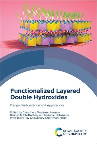 Functionalized Layered Double Hydroxides: Design, Performance and Applications