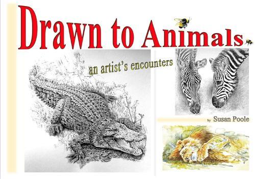 Drawn to Animals: an artist's encounters