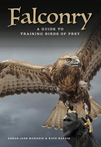 Falconry: A guide to training birds of prey