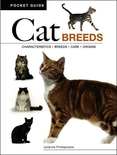 Cat Breeds: Characteristics * Breeds * Care * Origins