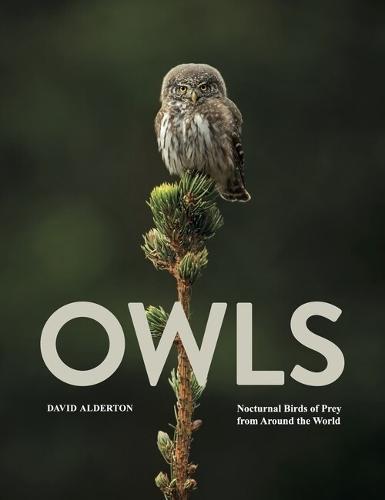 Owls: Nocturnal Birds of Prey from Around the World