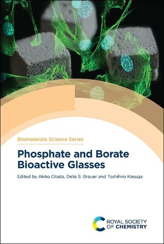 Phosphate and Borate Bioactive Glasses