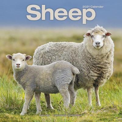 Sheep 2021 Wall Calendar