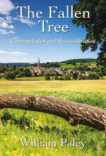 The Fallen Tree: Contemplation and Reconsideration