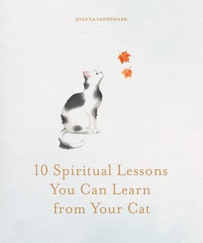 10 Spiritual Lessons You Can Learn from Your Cat: Essential Life Lessons We Can Learn From Our Furry Friend