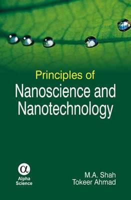 Principles of Nanoscience and Nanotechnology