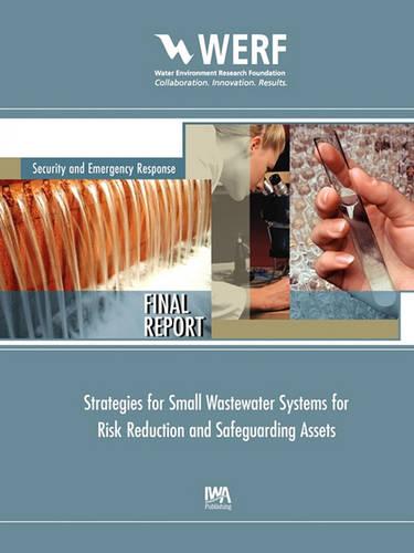 Strategies for Small Wastewater Systems for Risk Reduction and Safeguarding Assets