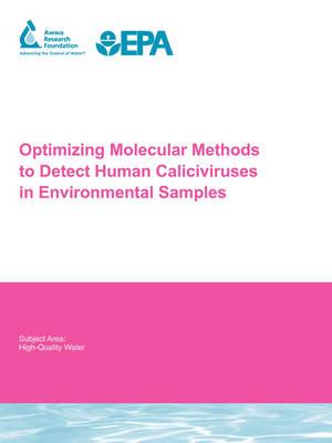 Optimizing Molecular Methods to Detect Human Caliciviruses in Environmental Samples