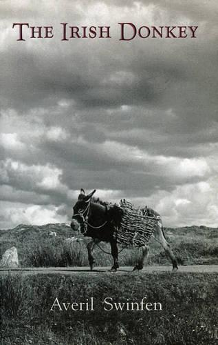 The Irish Donkey