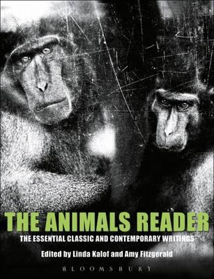 The Animals Reader: The Essential Classic and Contemporary Writings