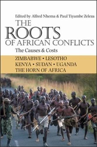 The Roots of African Conflicts: The Causes and Costs