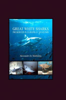 Great White Sharks Preserved in European Museums