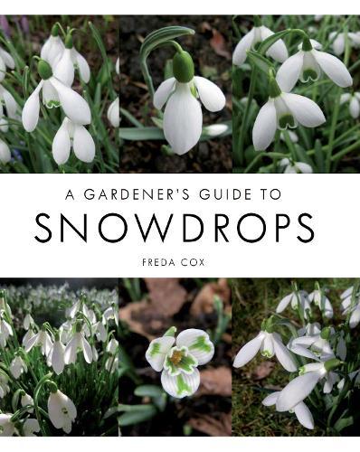 A Gardener's Guide to Snowdrops