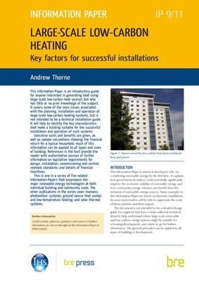 Large-scale Low-carbon Heating: Key Factors for Successful Installations