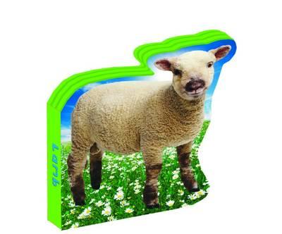 Farm Friends: Lamb