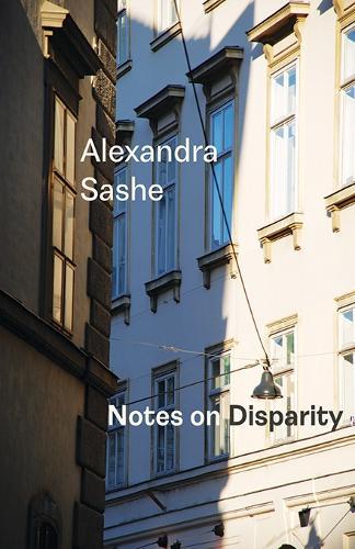 Notes on Disparity