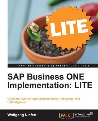 SAP Business ONE Implementation: LITE