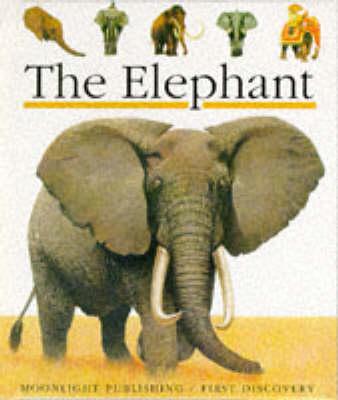 The Elephant