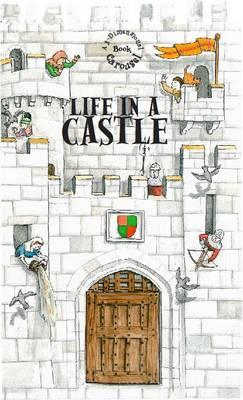 Life in a Castle: A 3-dimensional Carousel