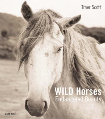 Wild Horses