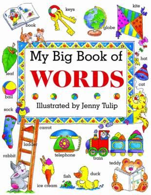 My Big Book of Words