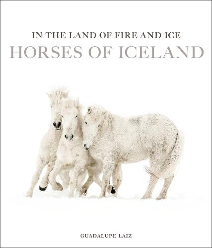 In the Land of Fire and Ice: Horses of Iceland