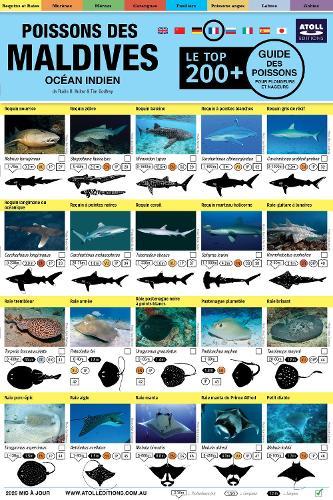 Maldives Guide Des Poissons: Le Top 200+ (French)