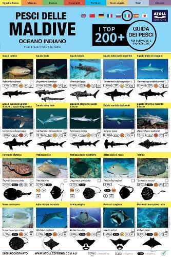 Maldive Guida Dei Pesci: I Top 200+ (Italian)