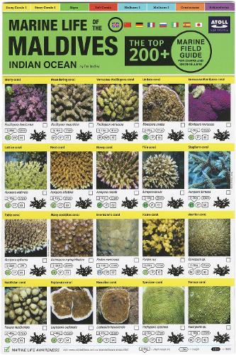 Maldives Marine Life Field Guide: ""Top 200+""