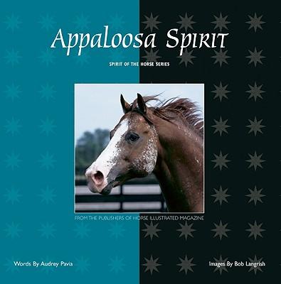 Appaloosa Spirit