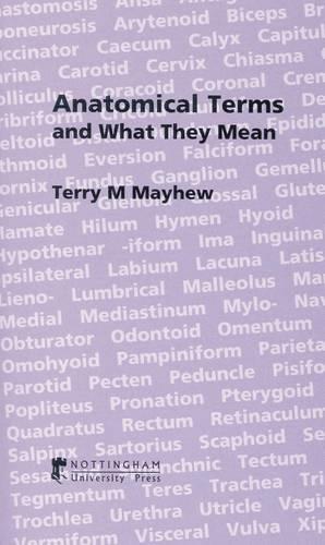 Anatomical Terms and What They Mean