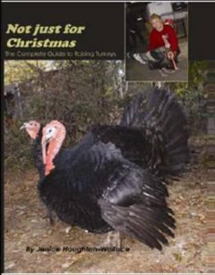 Not Just for Christmas