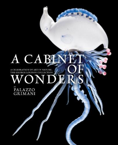 A Cabinet of Wonders: A Celebration of Art in Nature at the Palazzo Grimani, Venice