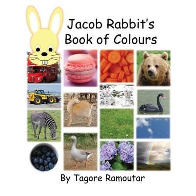 Jacob Rabbit's Book of Colour