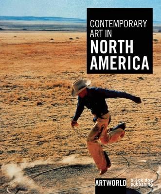 Contemporary Art in North America
