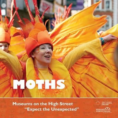 Moths: Museums on the High Street